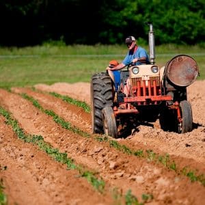 Como as plantadeiras podem te ajudar?