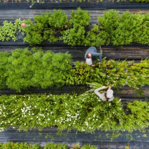 O agro pode ser totalmente sustentável